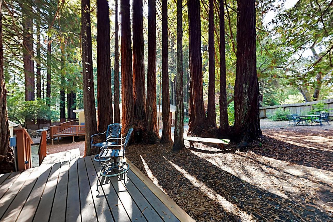 Wagging Woods Villa Cazadero Exterior photo